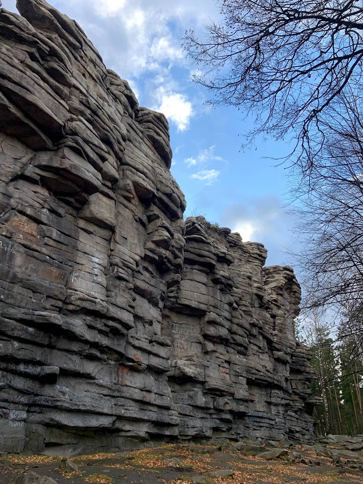 Picturesque Nature Walk