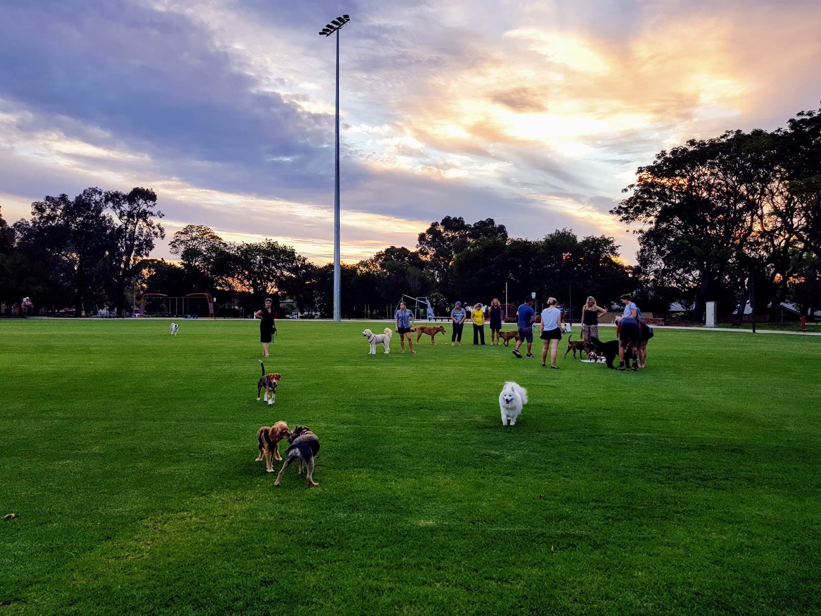 Ernest Johnson Reserve - Image 1