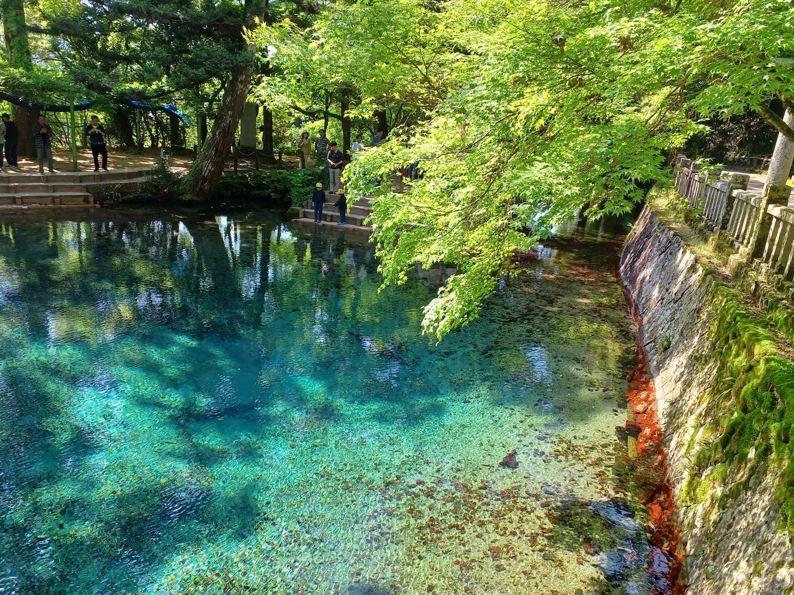 Beppu Benten Pond - Image 1