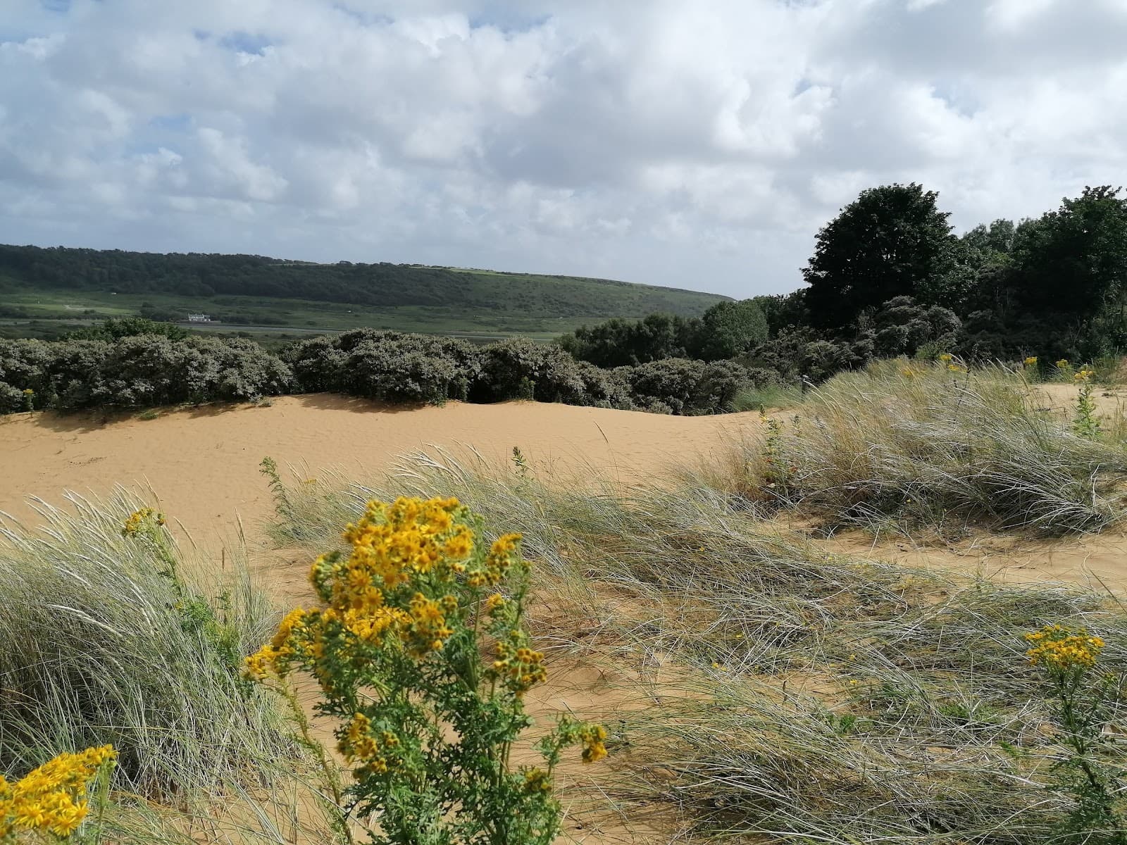 Merthyr Mawr Village - Image 1