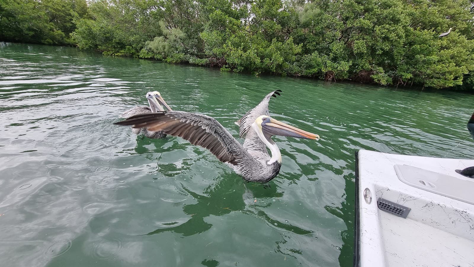 Linley Street Boat Ramp - Image 1