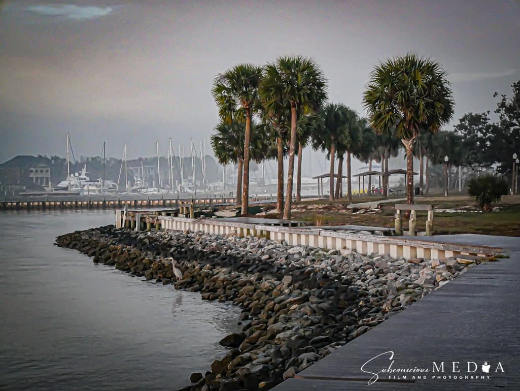 Sanders Beach - Image 1