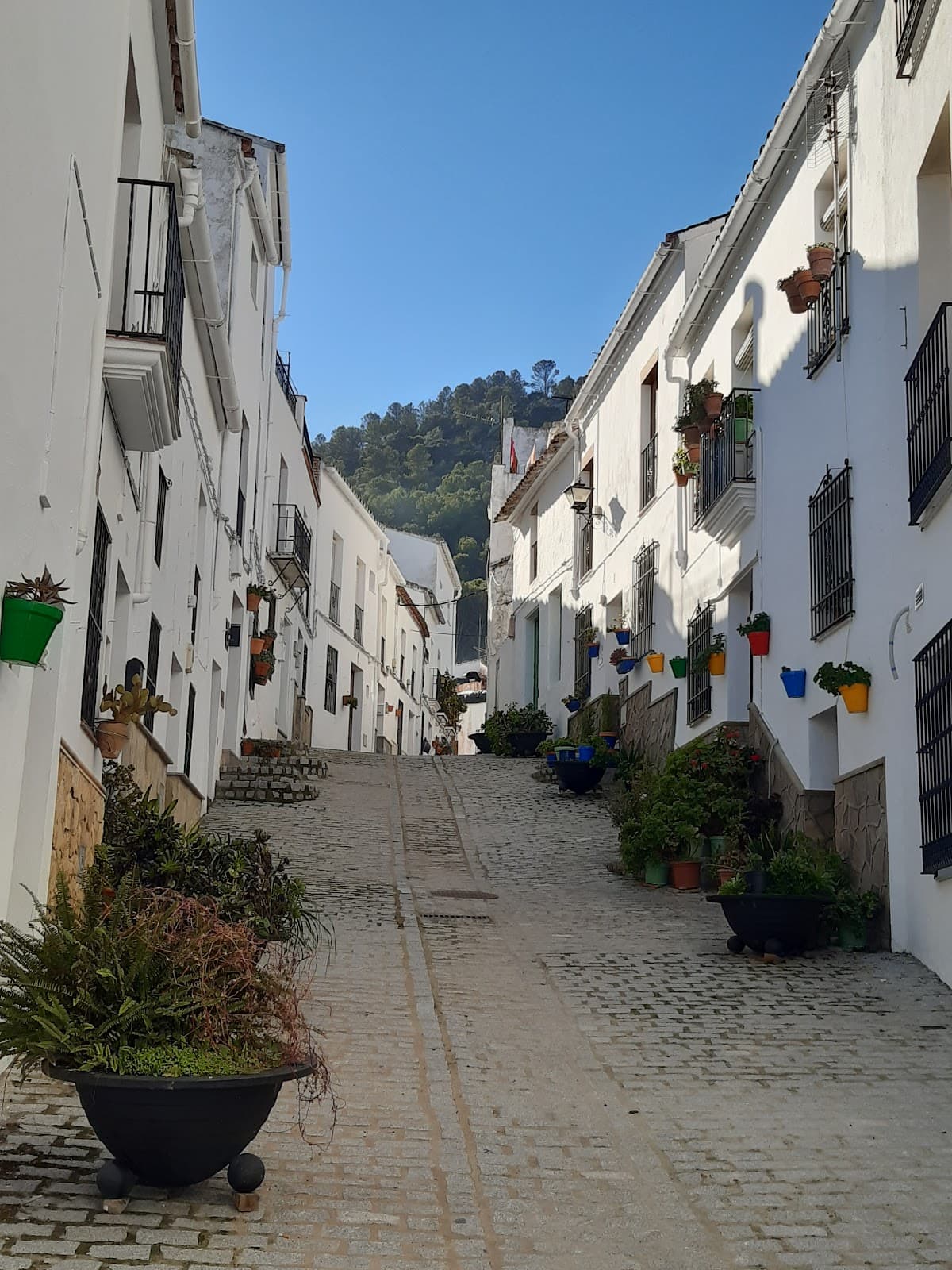 El Gastor - Image 1