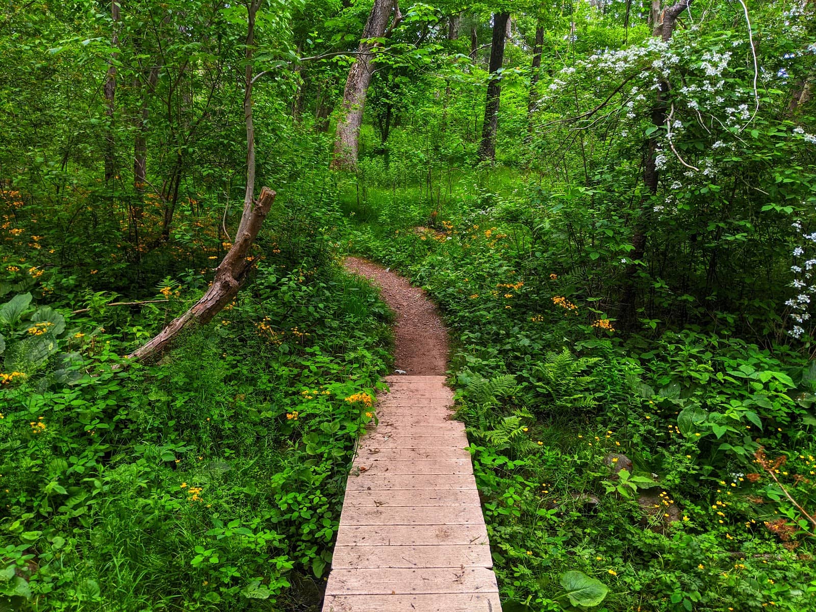Emerald Moss Carpets