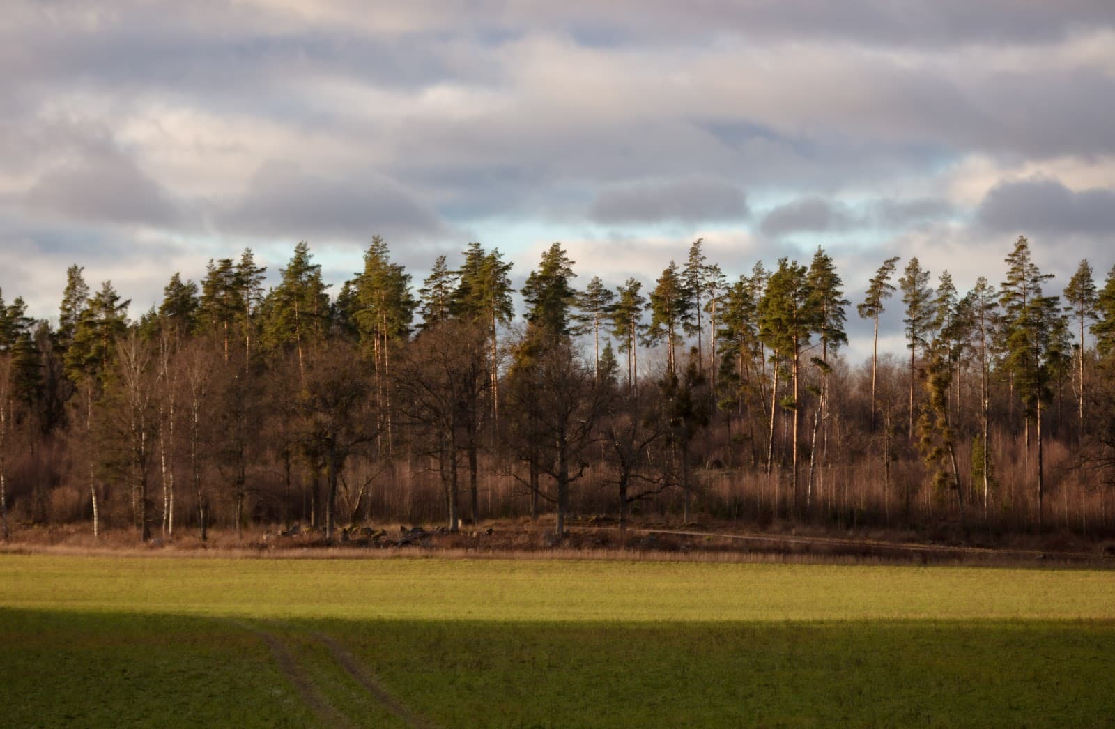 Asköviken–Sörfjärden Nature Reserve - Image 1