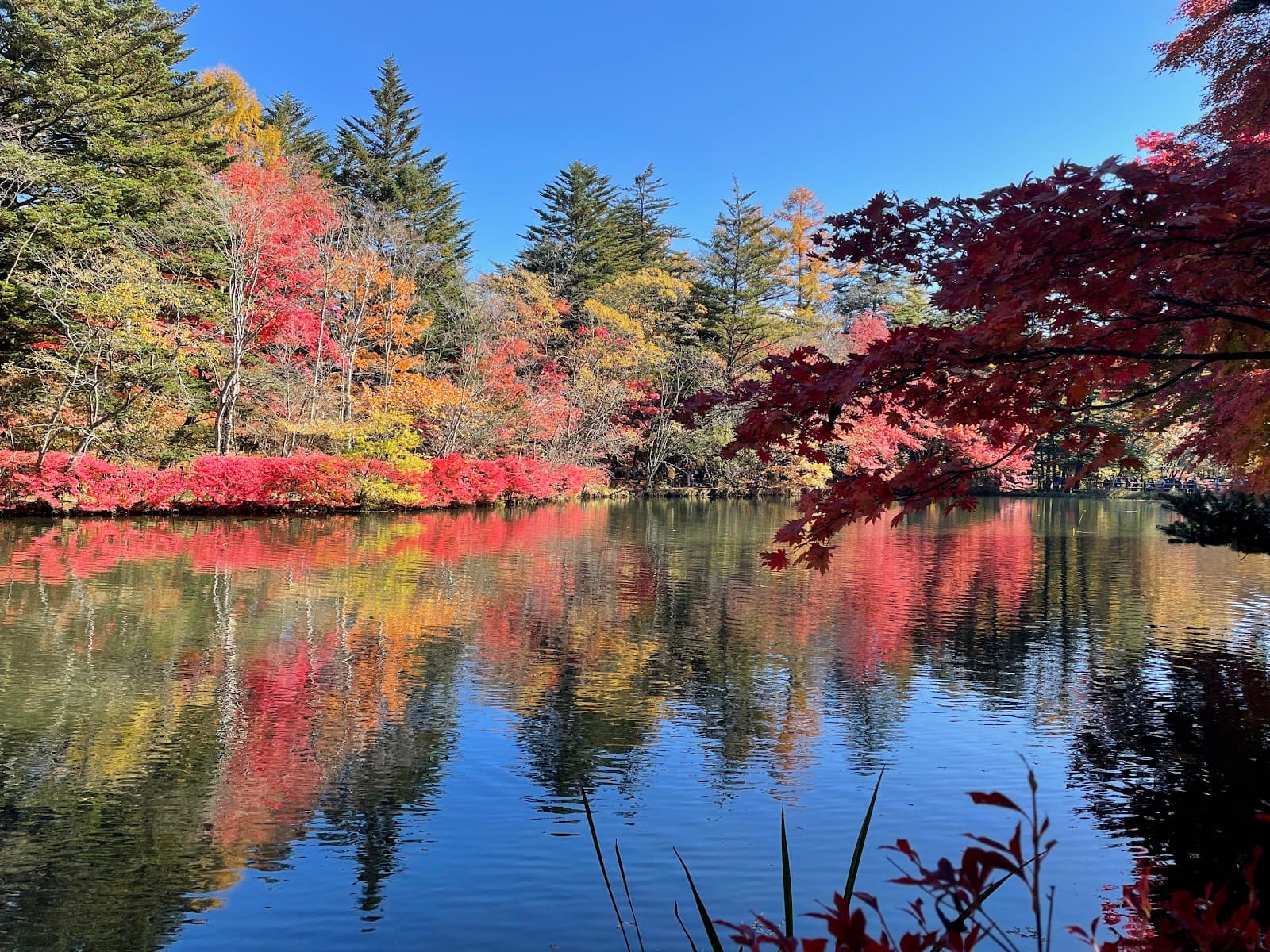Kumoba Pond Karuizawa - Image 1