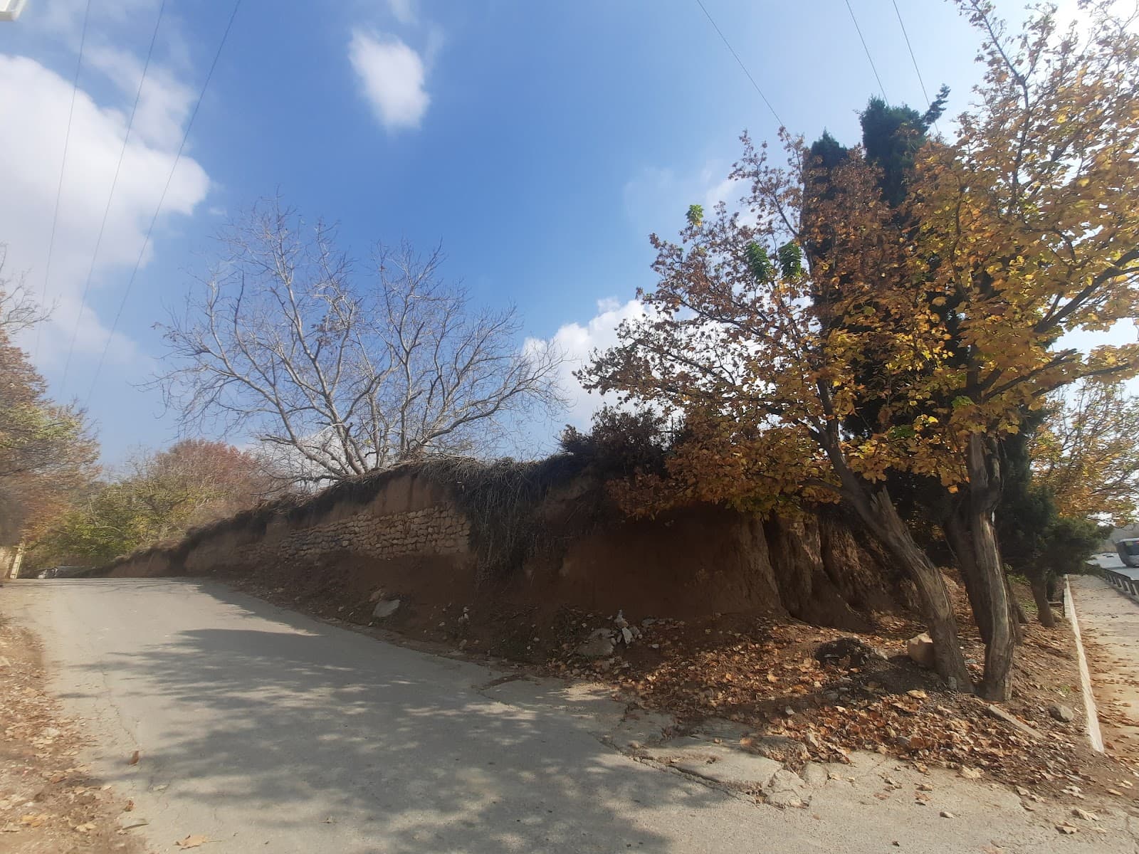 Chamran Boulevard Park - Image 1