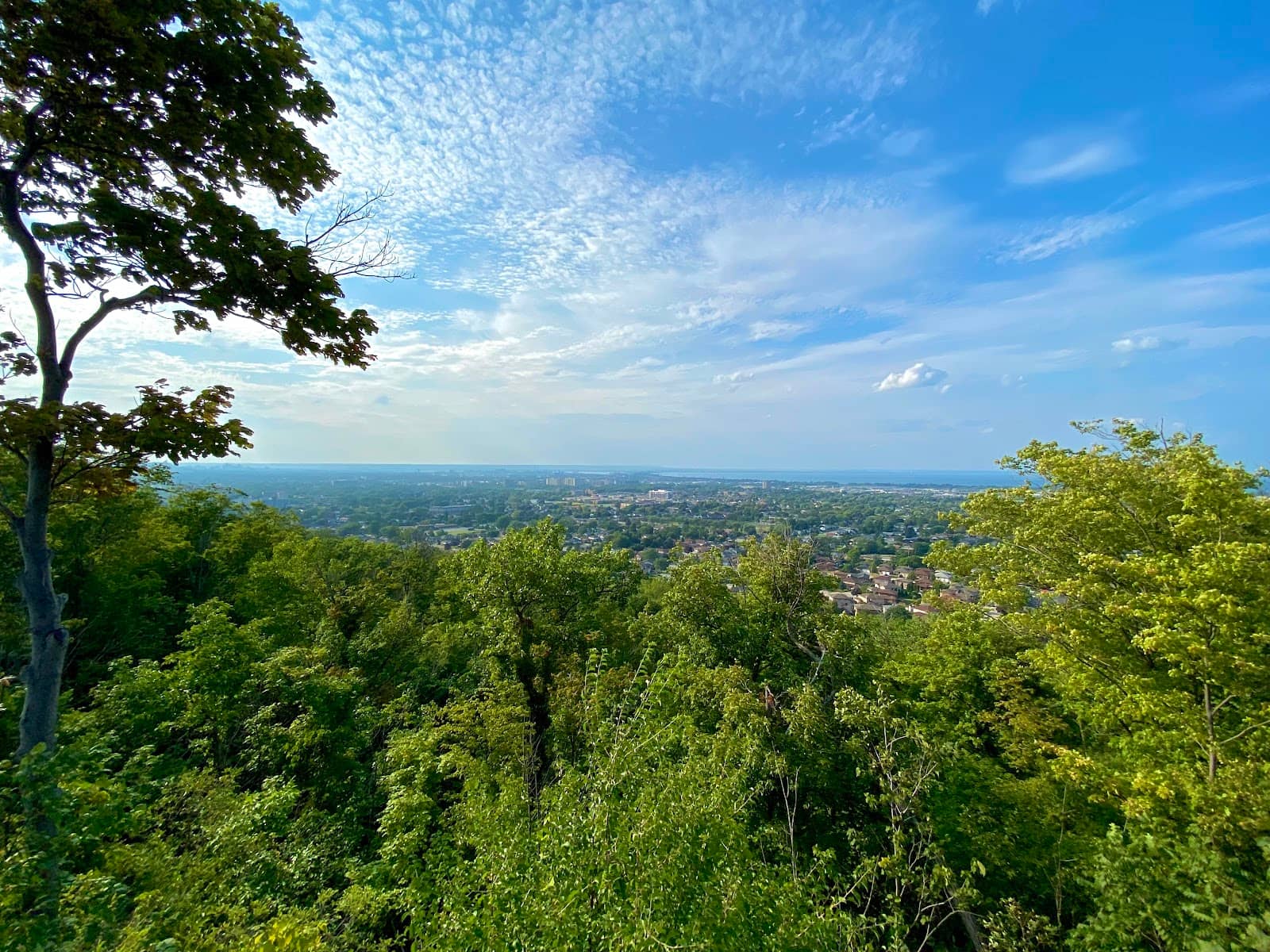 Seasonal Greenery and Views