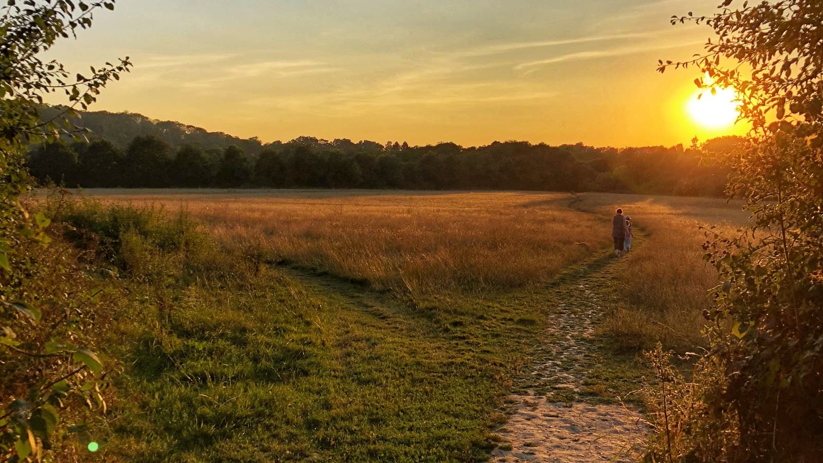 Chesworth Farm - Image 1