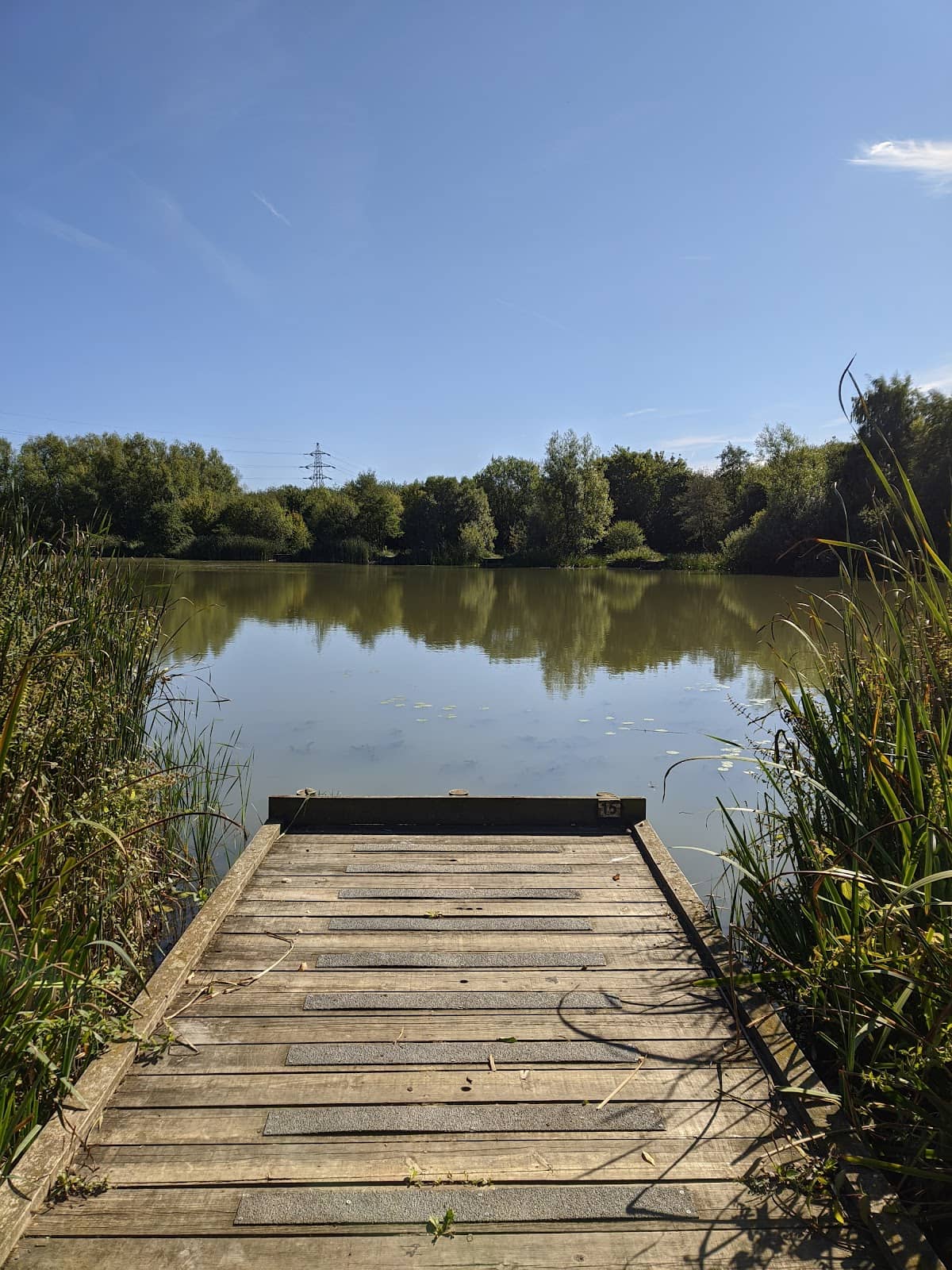 Family Cycling Adventures