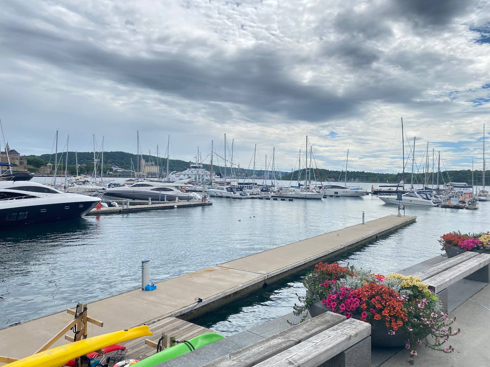 Vibrant Dining Scene