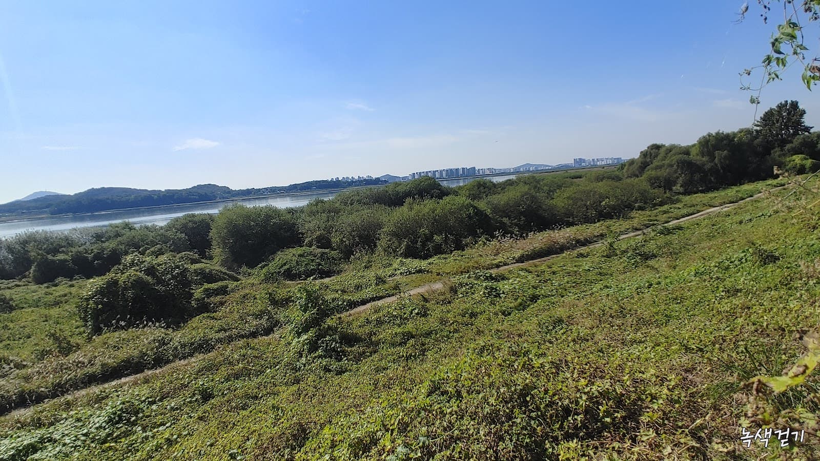 Janghang Wetland Exhibition Center - Image 1