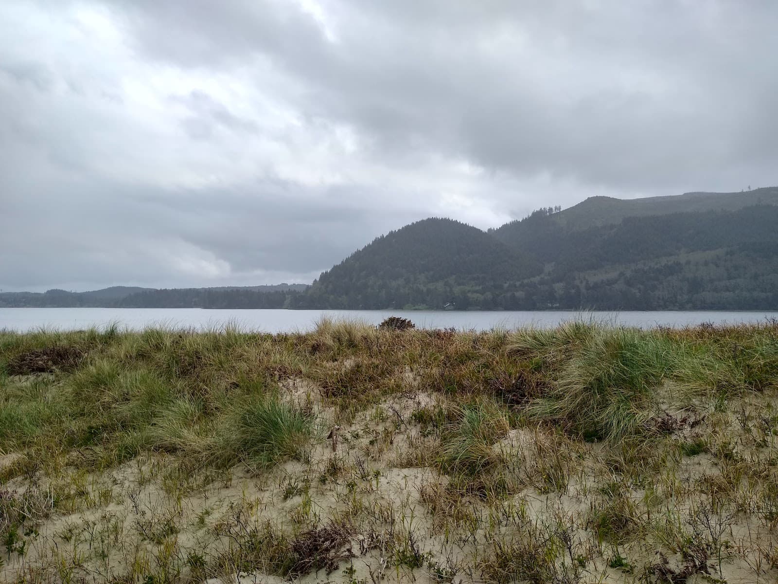 Netarts Spit - Image 1