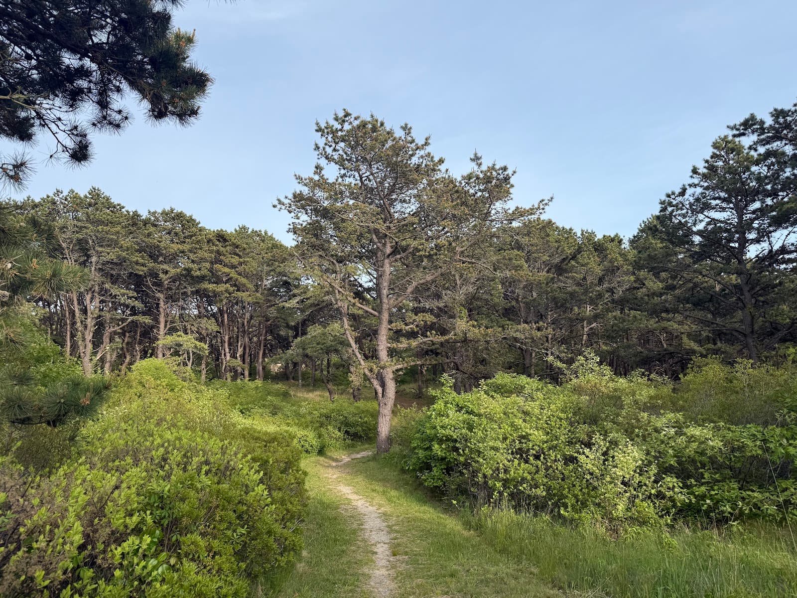 Pilgrim Heights Area - Image 1