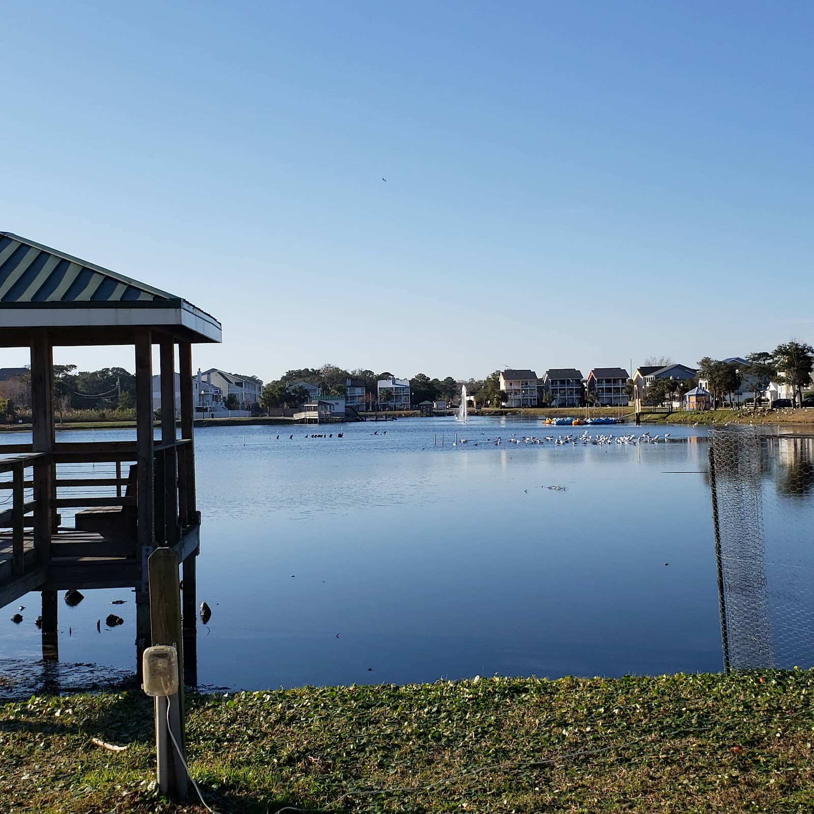 Carolina Beach Lake Park - Image 1