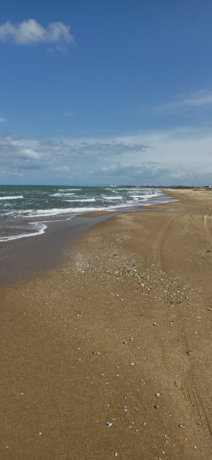 Gammarth Beach - Image 1