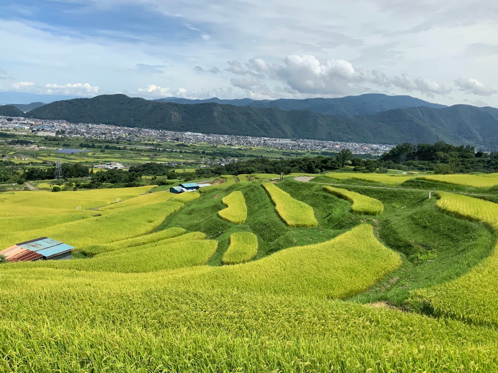 Obasute Terraced Rice Fields - Image 1
