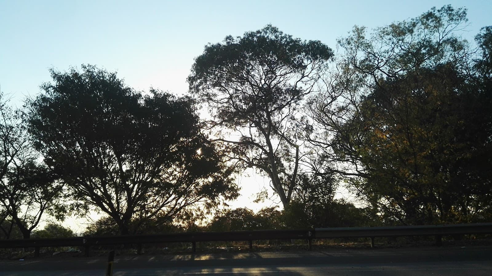 Parktown Heritage Trail Johannesburg - Image 1