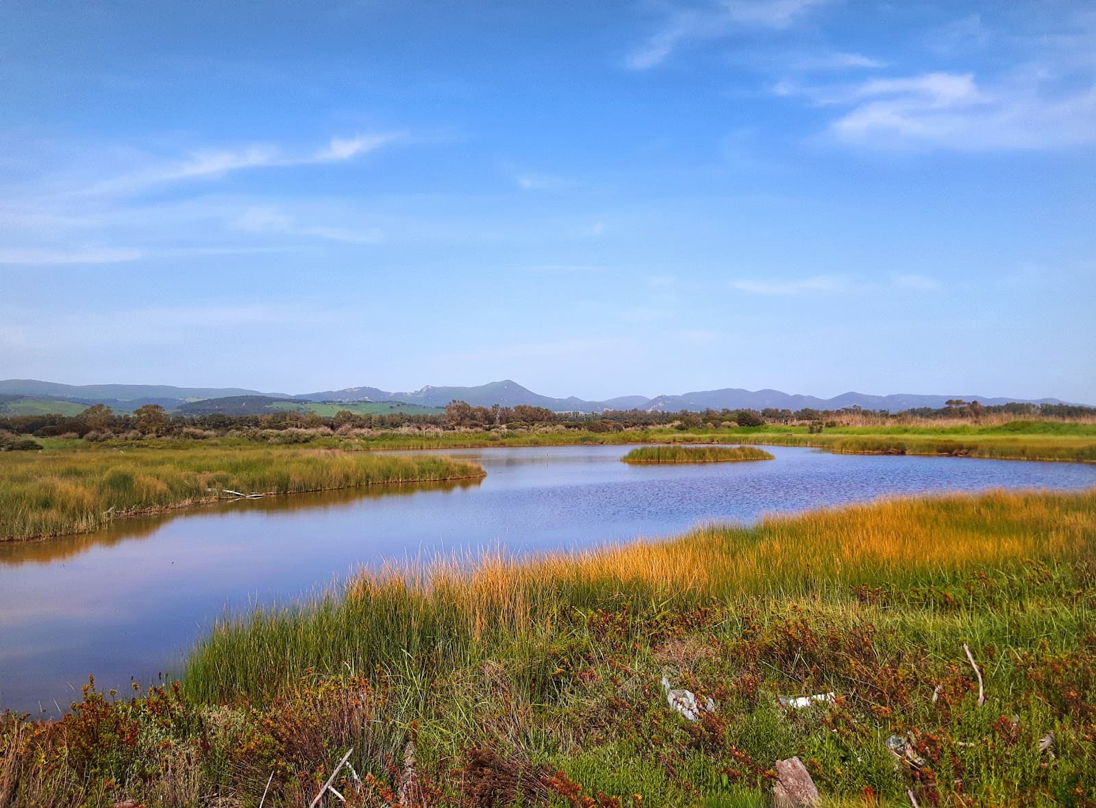 Macchiatonda Nature Reserve - Image 1