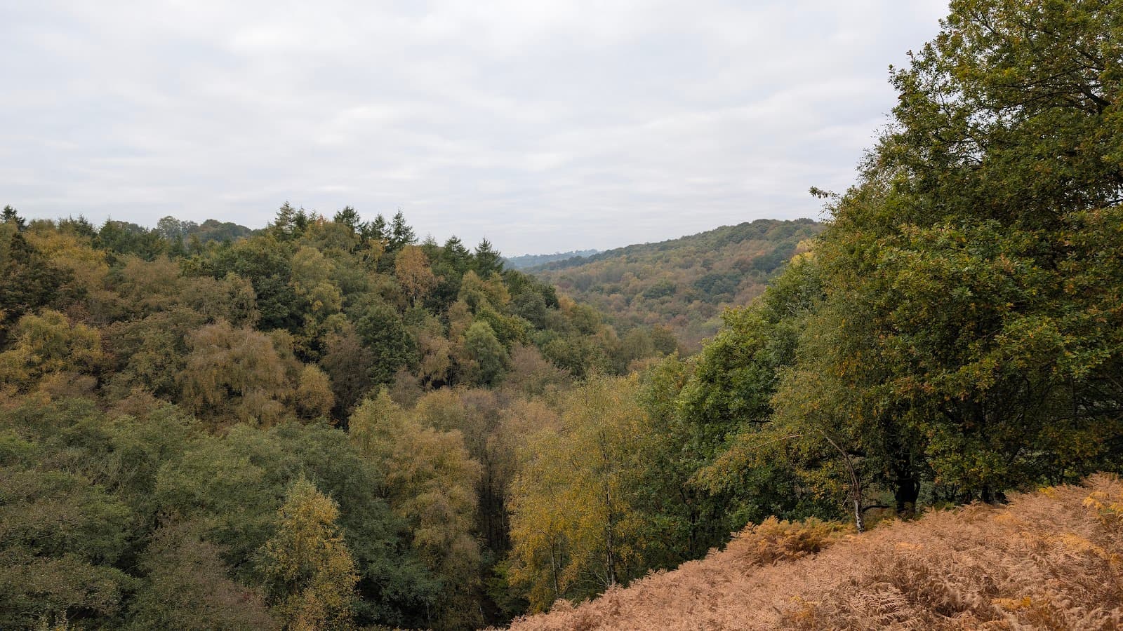 Consall Nature Park and Froghall Wharf - Image 1