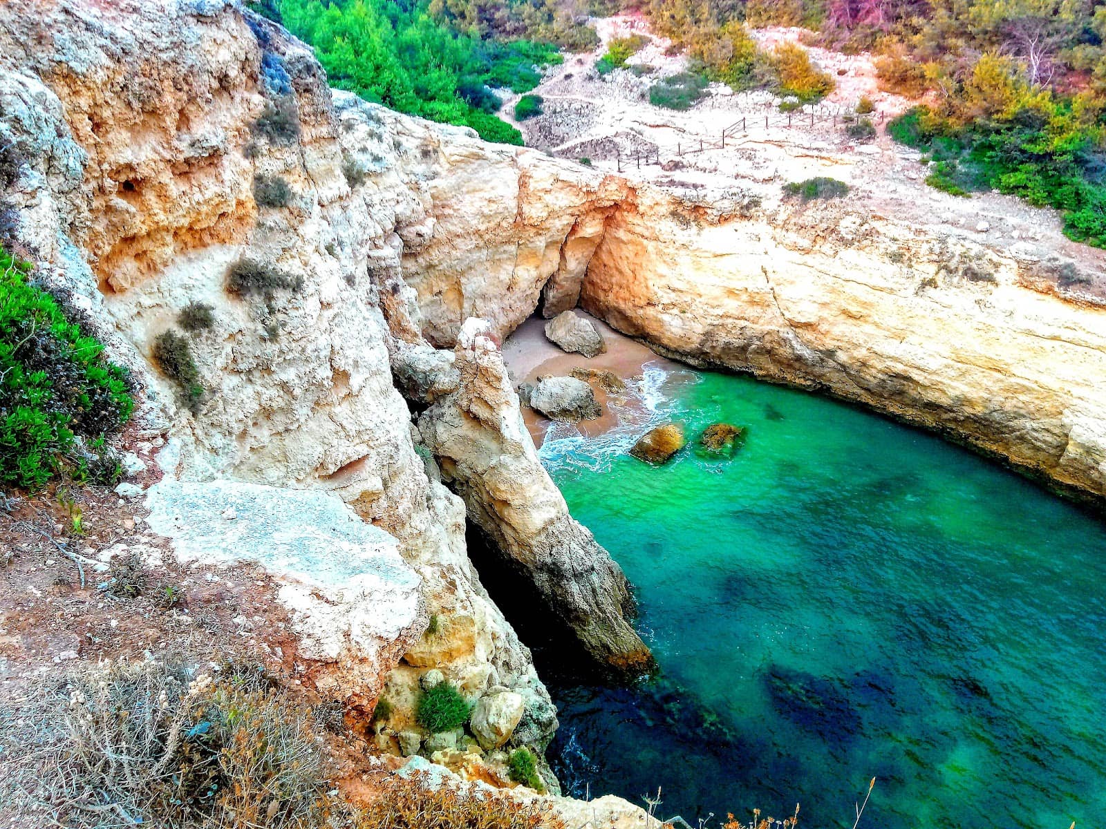 The Lighthouse Viewpoint