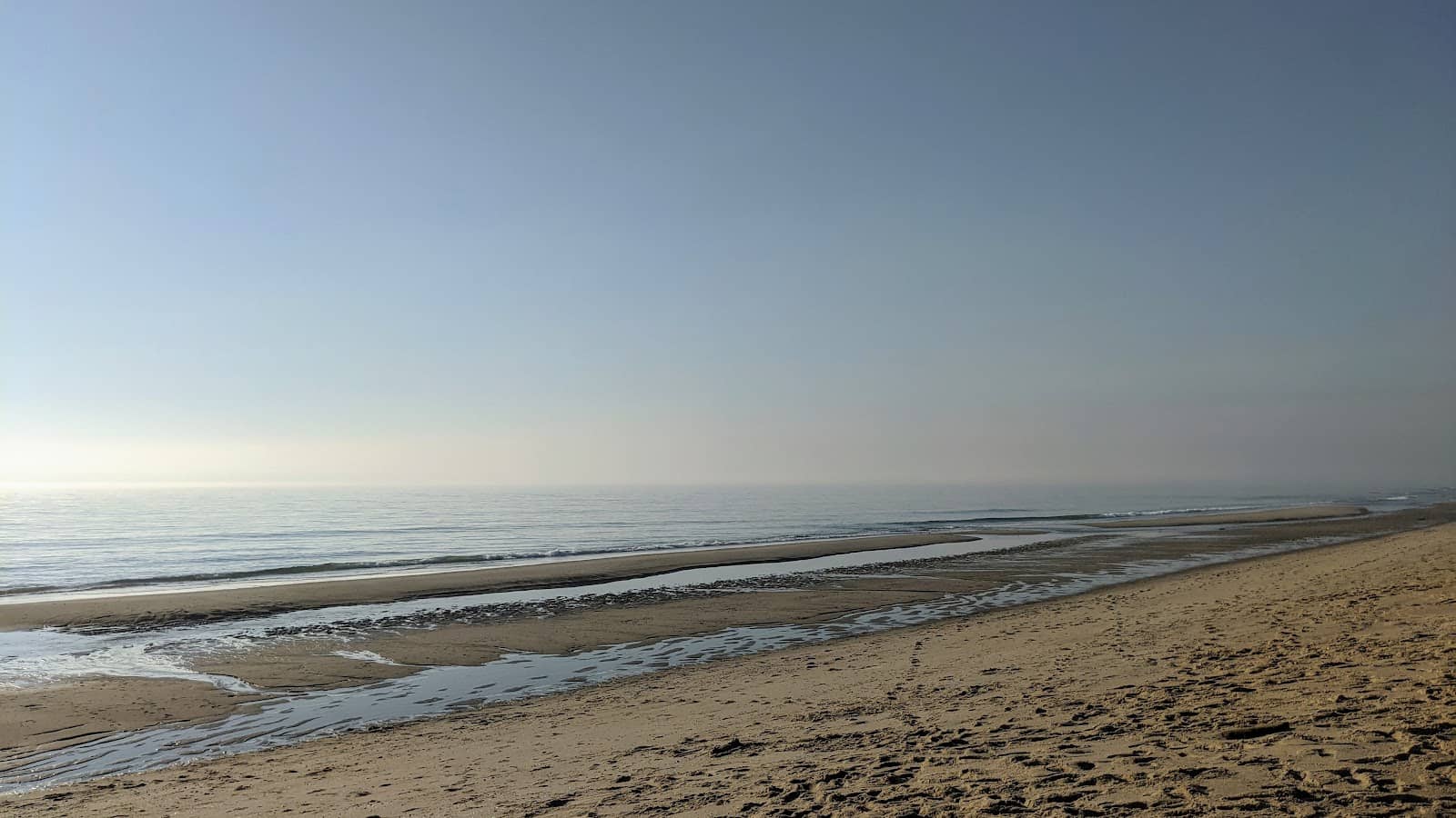 Expansive Sandy Shoreline