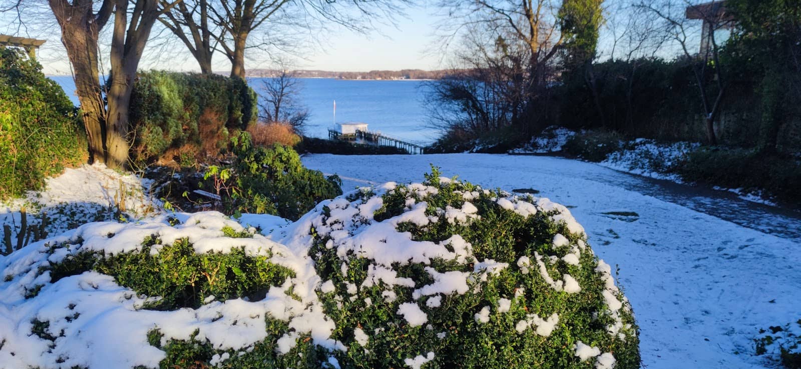 Green Oasis of Parks