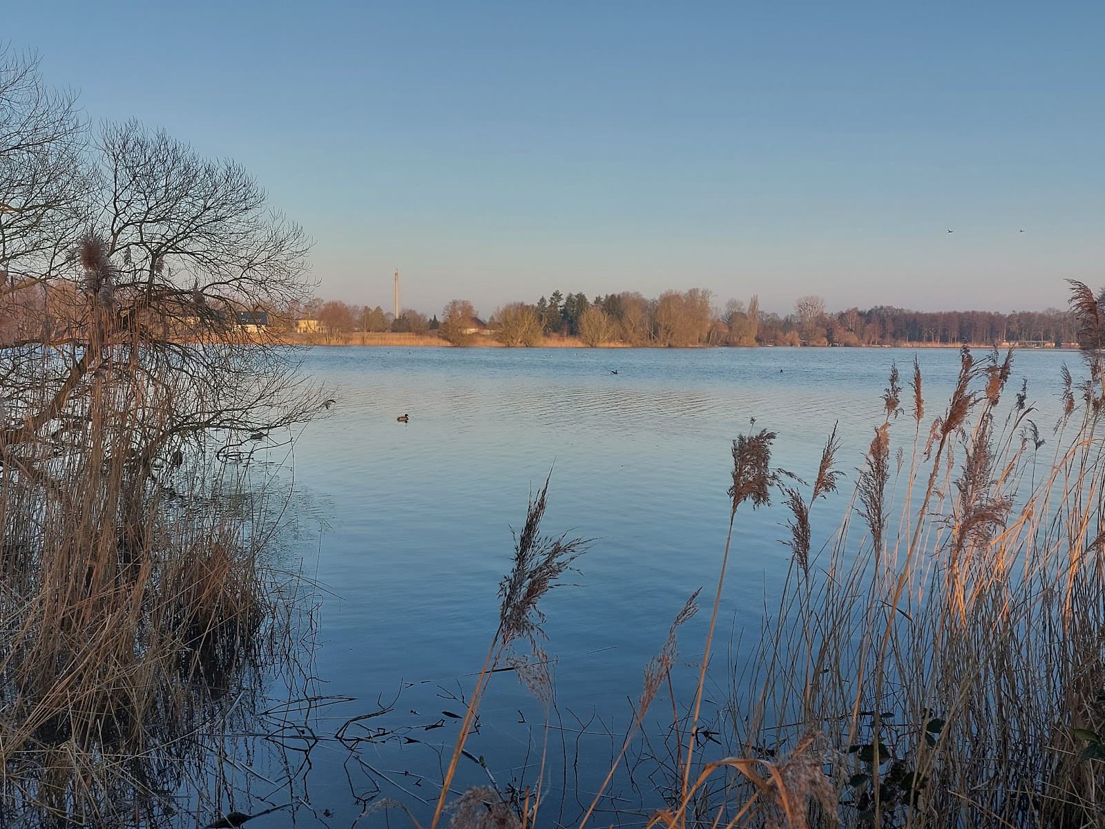 Ostorfer See - Image 1