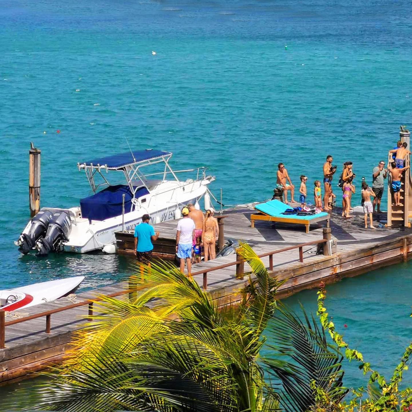 Mount Hartman Dove Sanctuary - Image 1