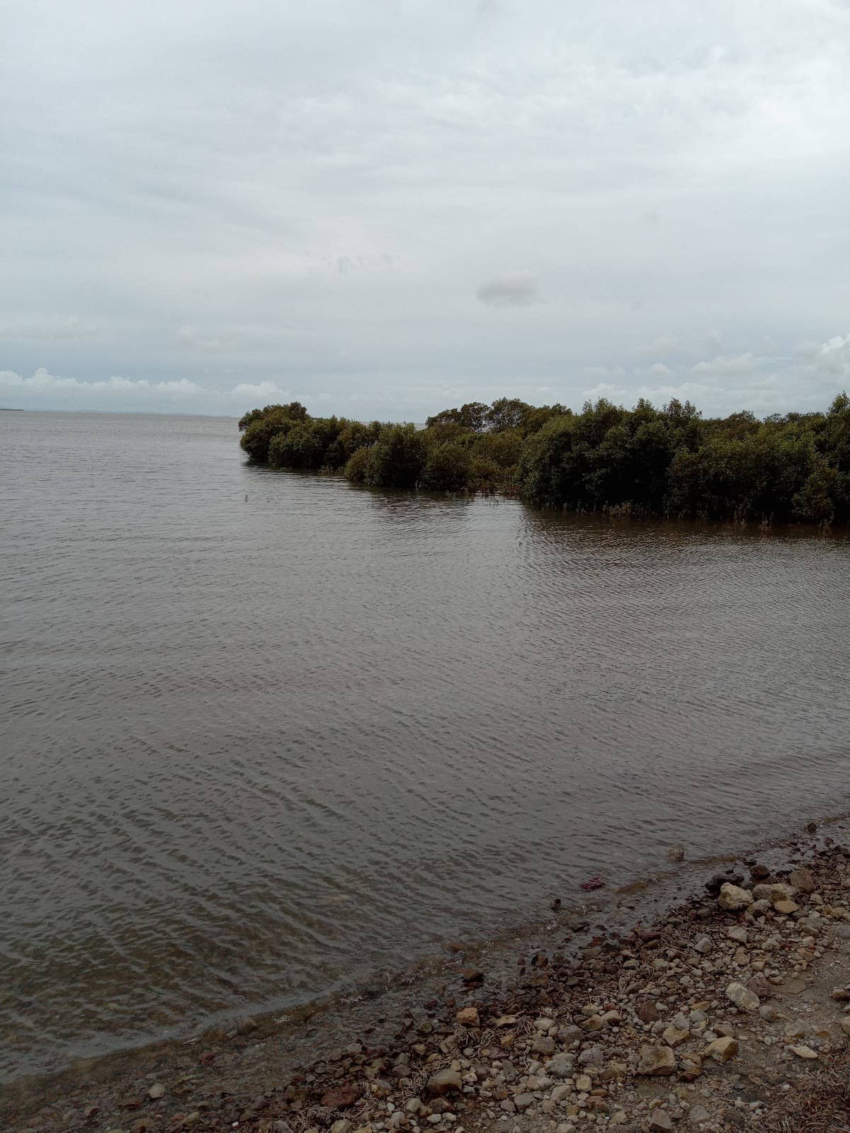 Moreton Bay Coastline