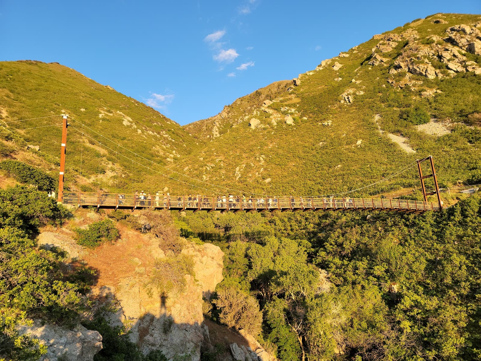 Bear Canyon Suspension Bridge - Image 1
