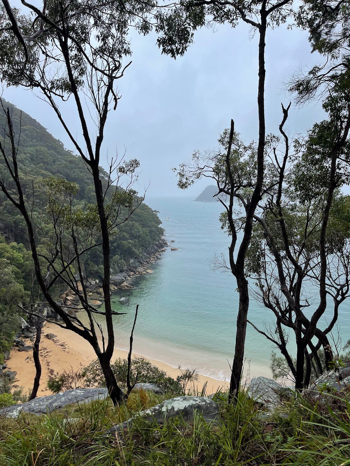 Aboriginal Heritage Walk (Ku-ring-gai) - Image 1