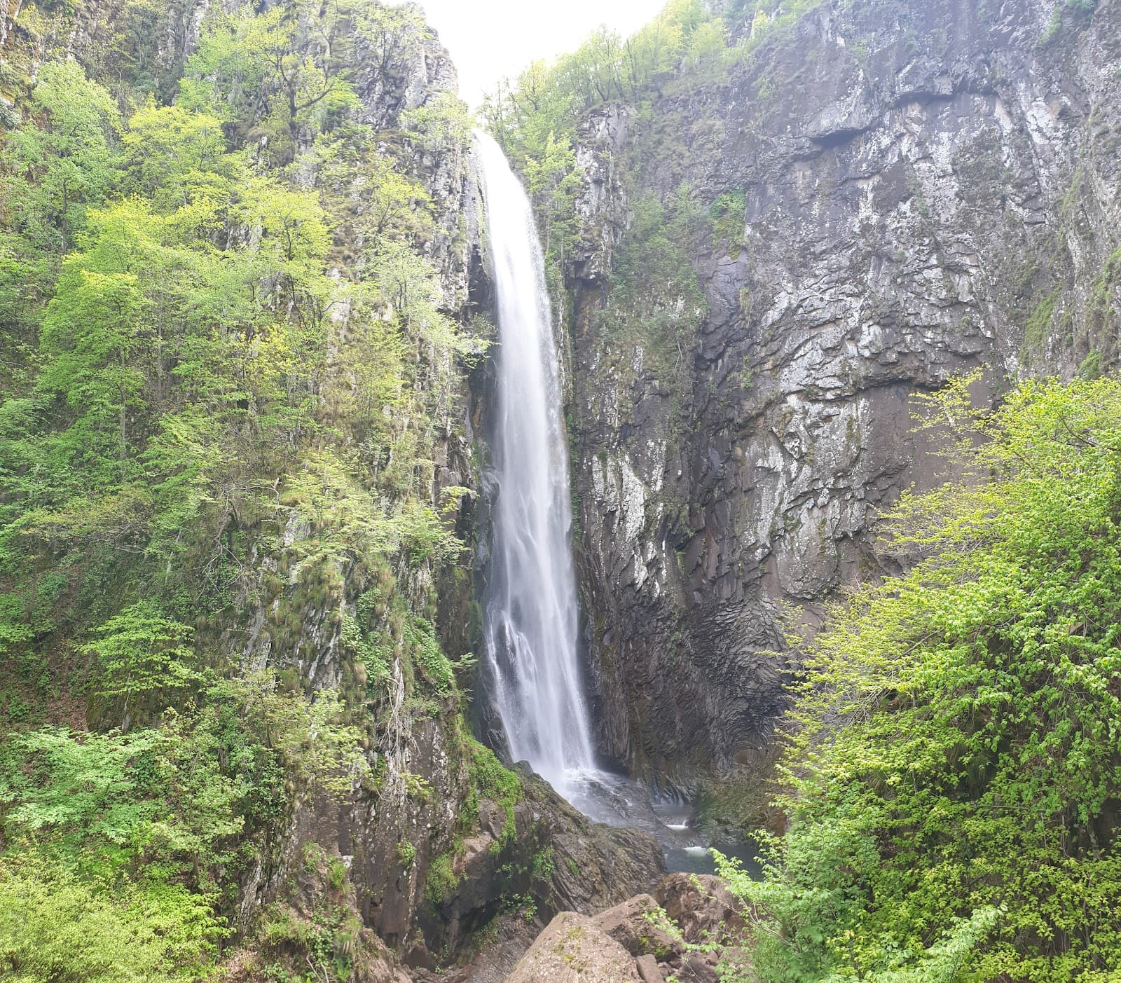 Livaditis Forest Trail - Image 1