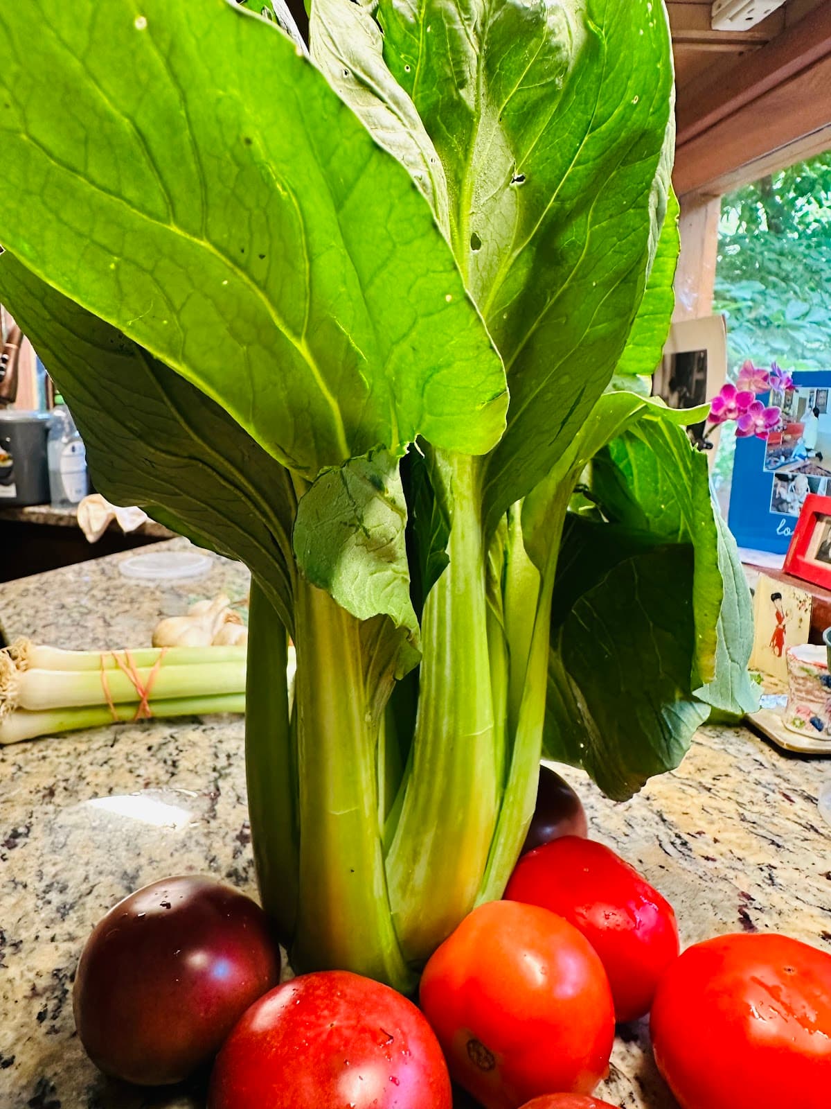 Vassar Farm and Ecological Preserve - Image 1