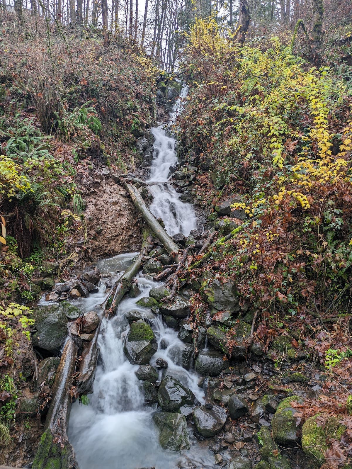 Newell Creek Canyon Nature Park - Image 1