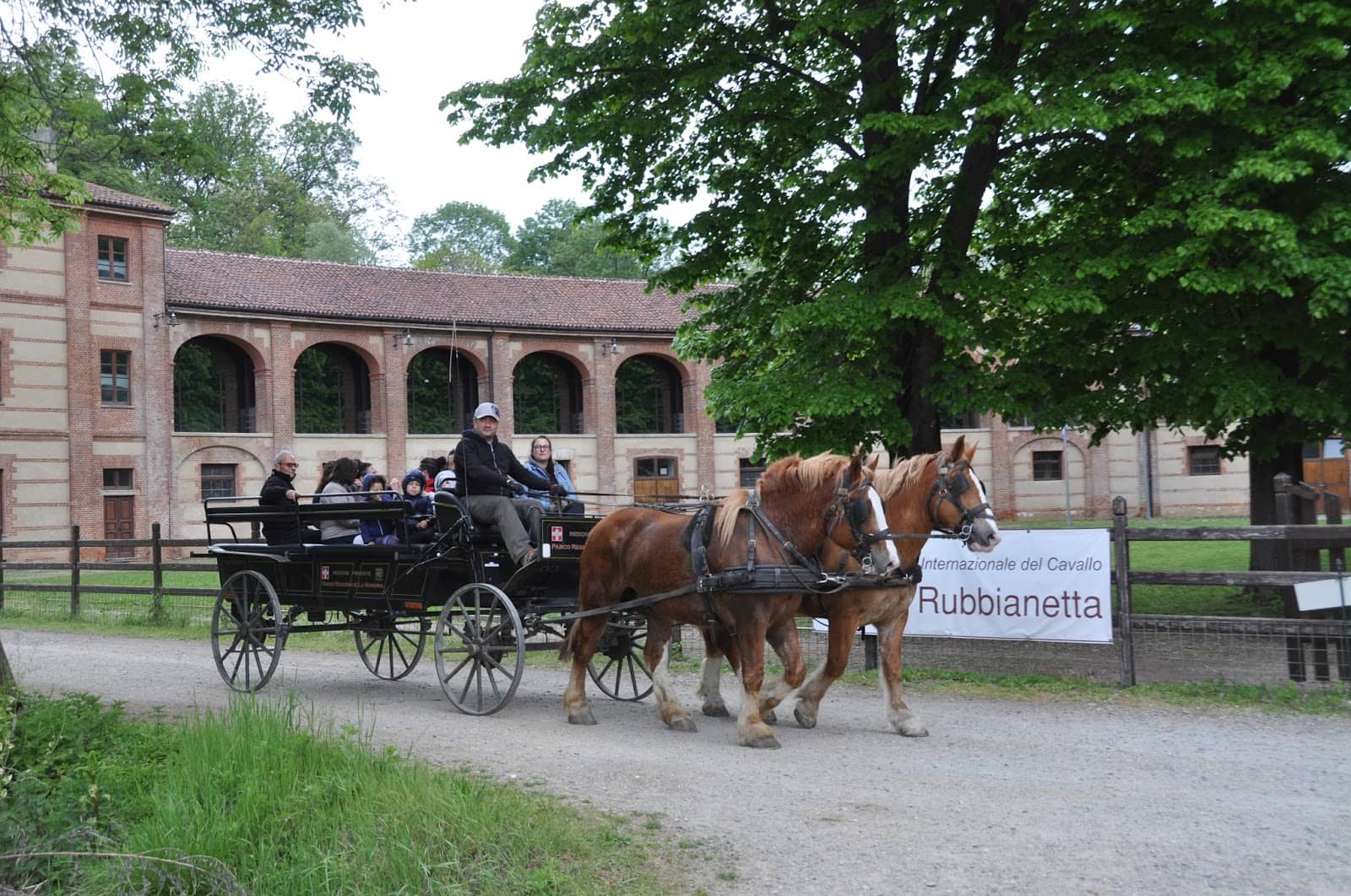 Farm-to-Table Dining