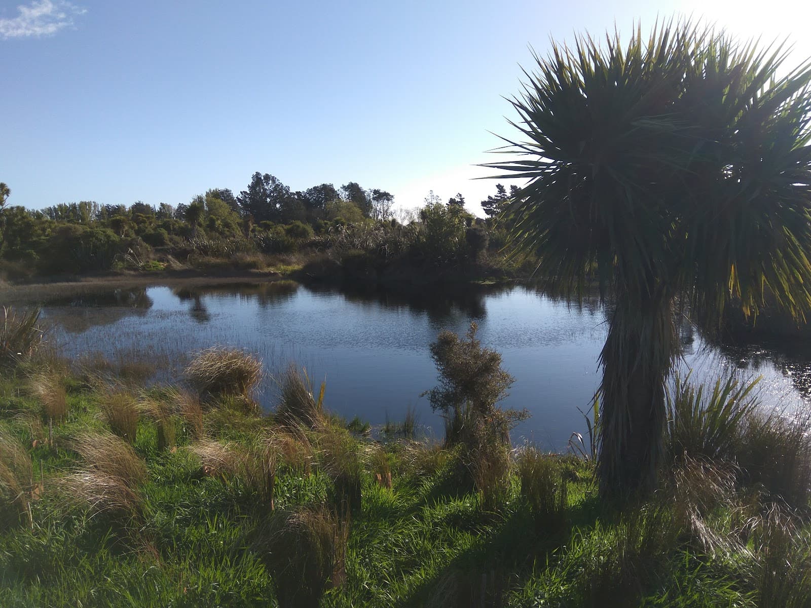 Bushy Point Boardwalk Otatara - Image 1