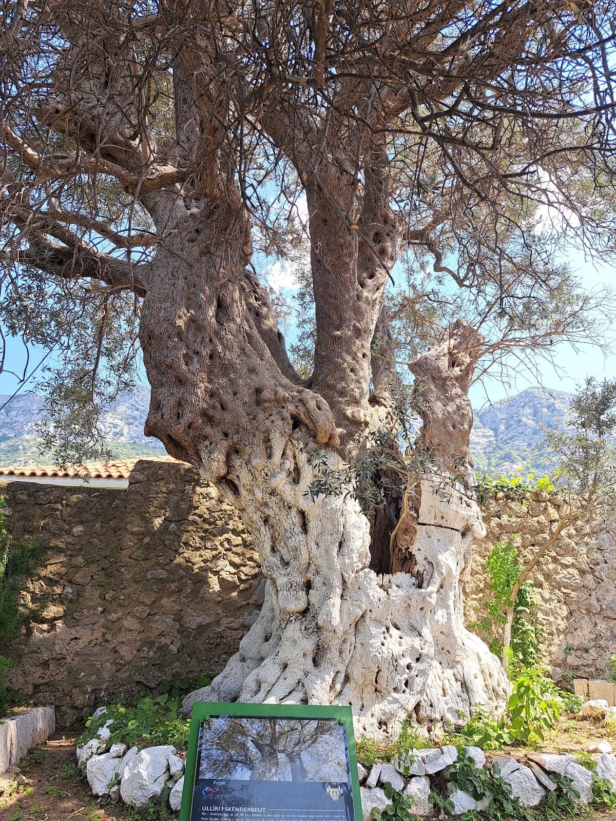 The Intriguing Tunnel