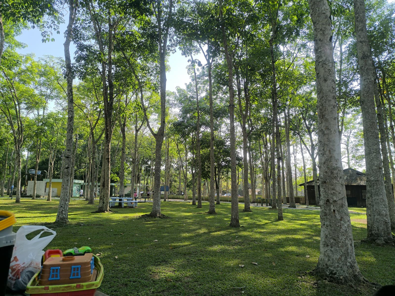 Parque Circuito - Image 1