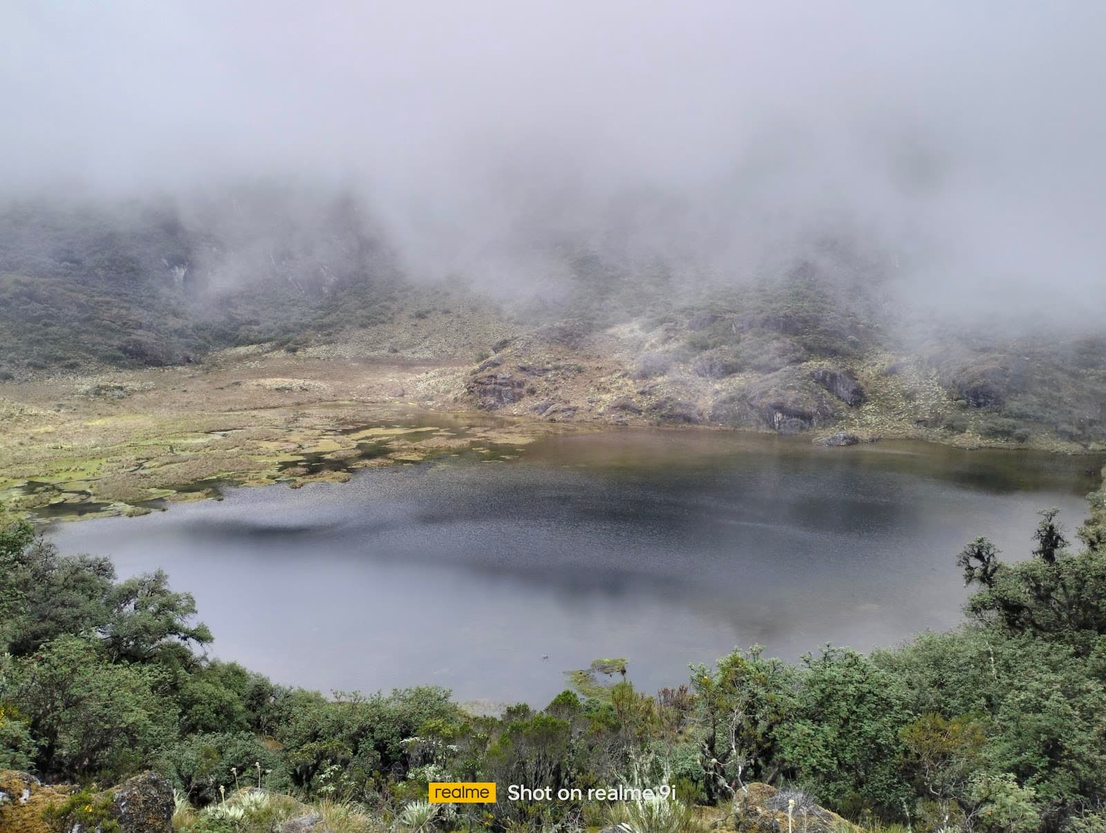 Laguna de los Patos Mérida - Image 1