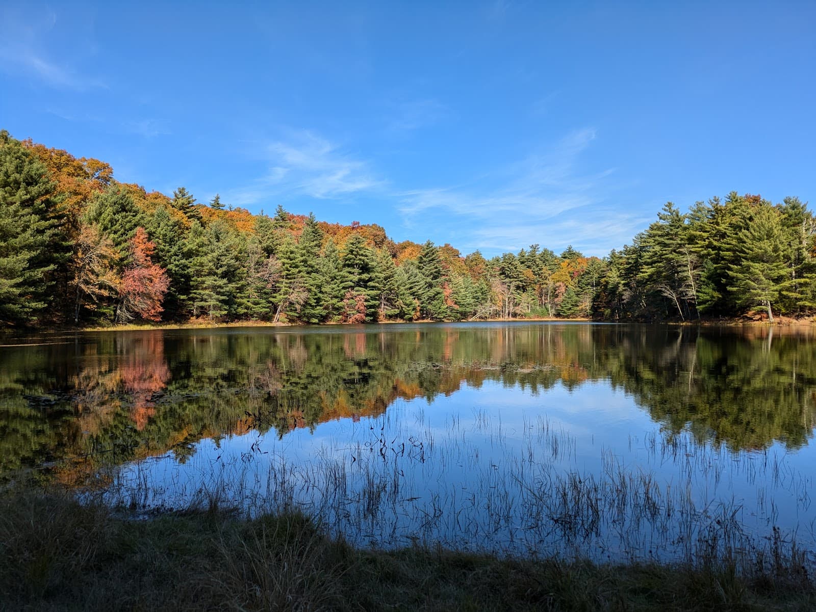Dean Pond Recreation Area - Image 1