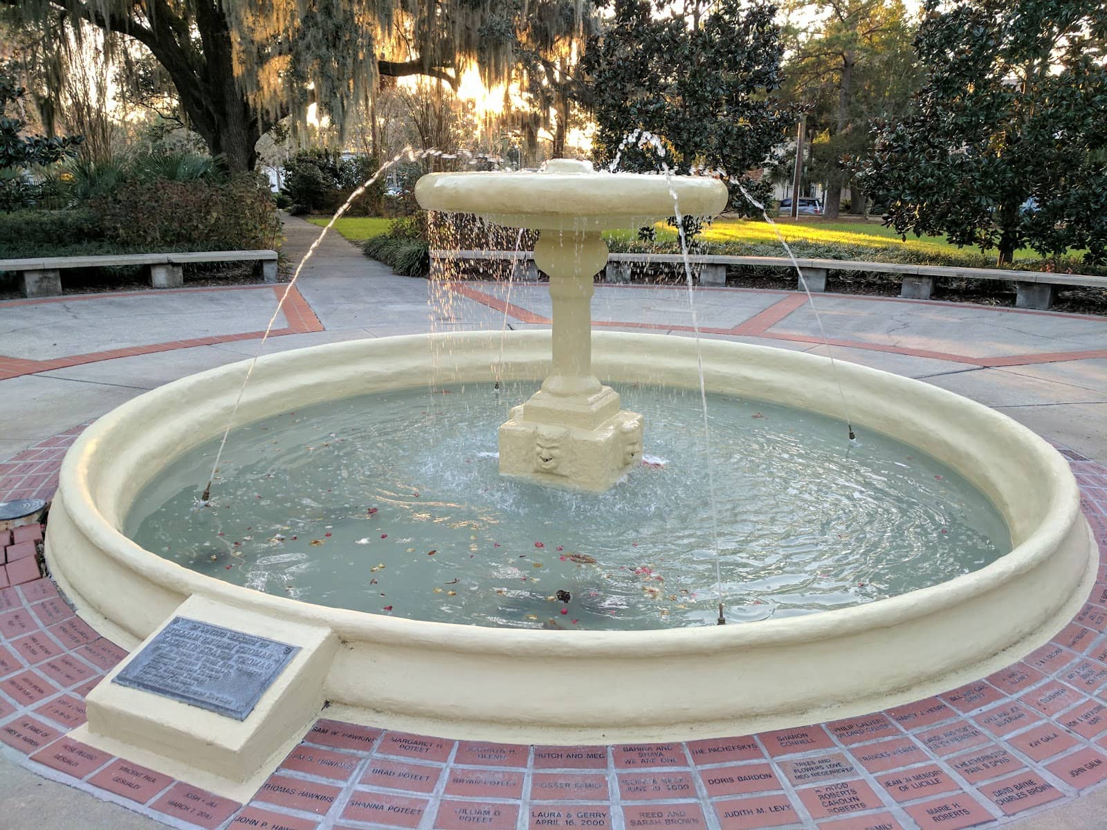 Peaceful Walking Paths