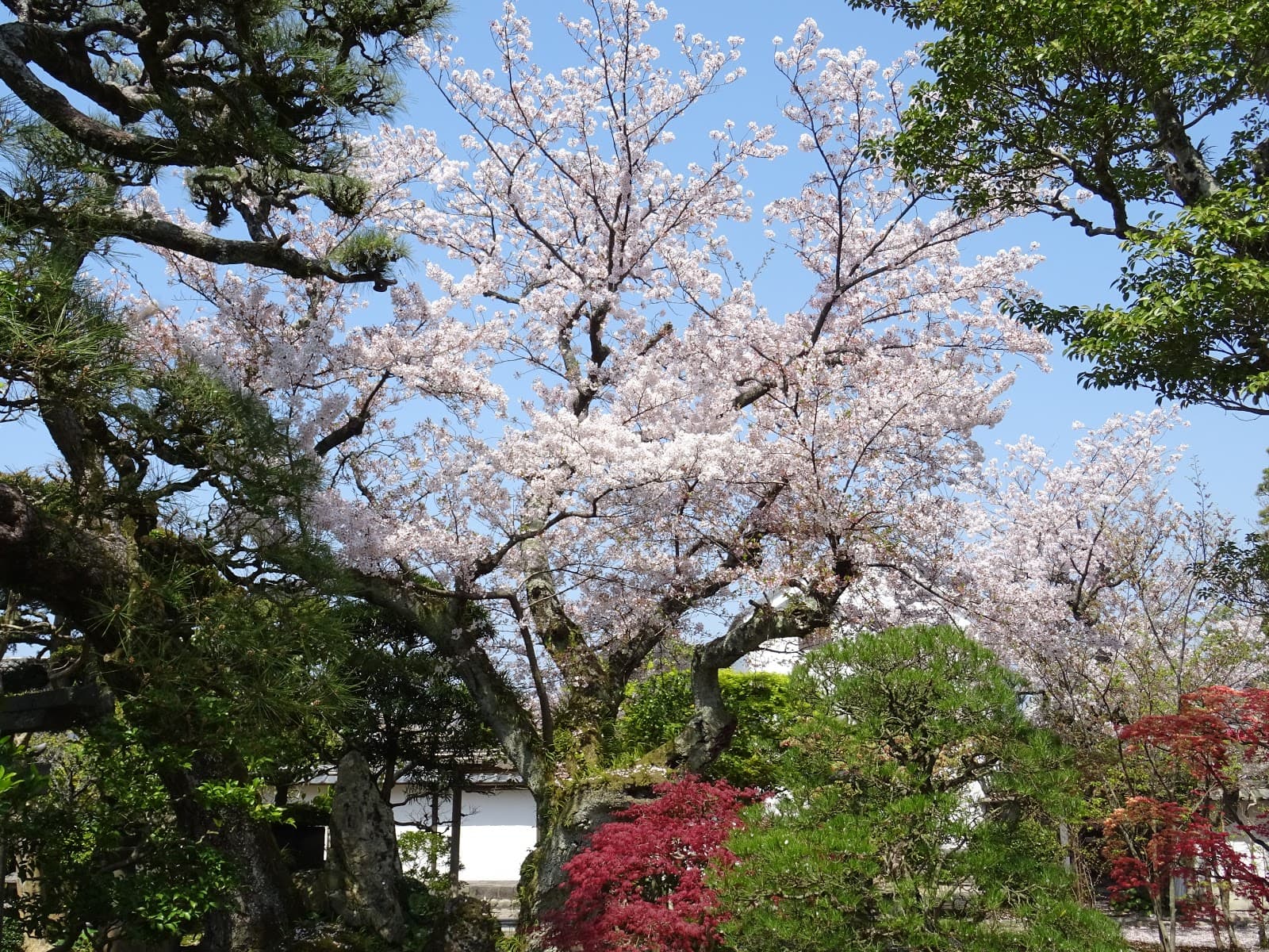 Kikuya Residence - Image 1