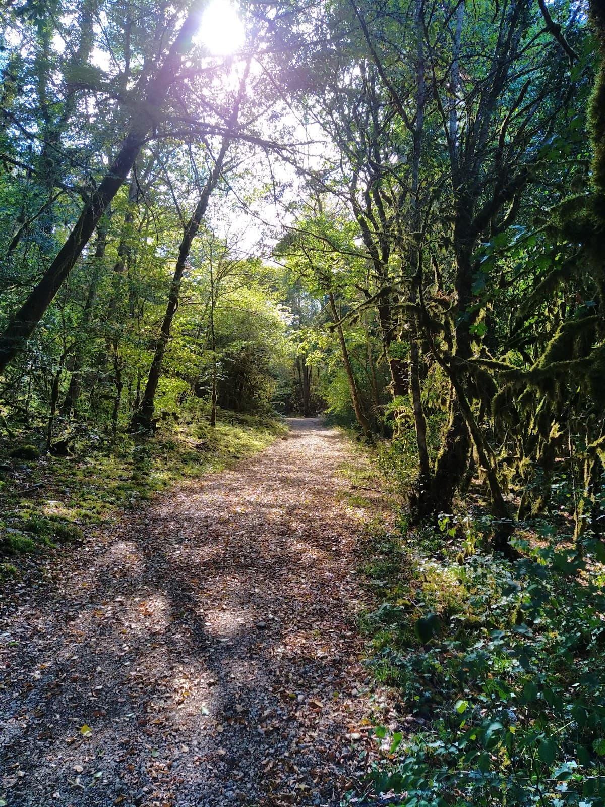 Combe à la Serpent - Image 1