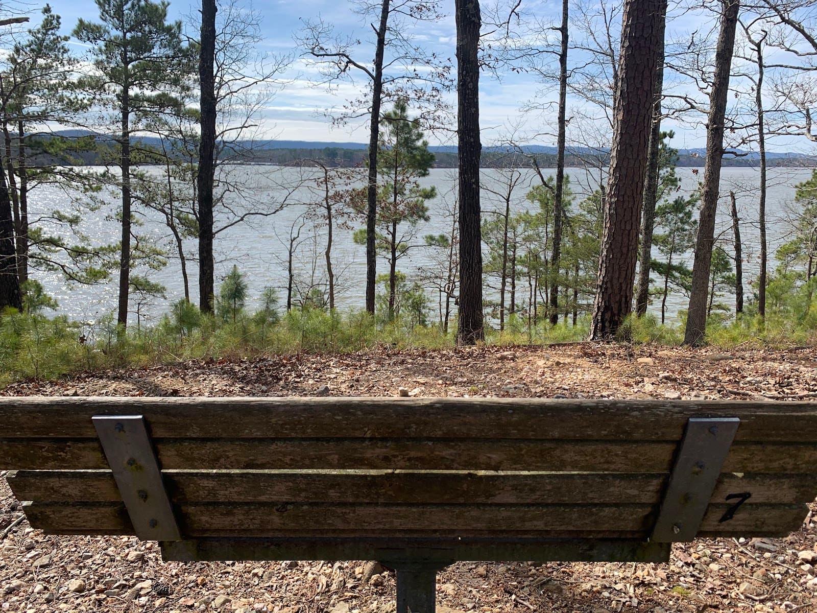 Lake Ouachita Vista Trail - Image 1