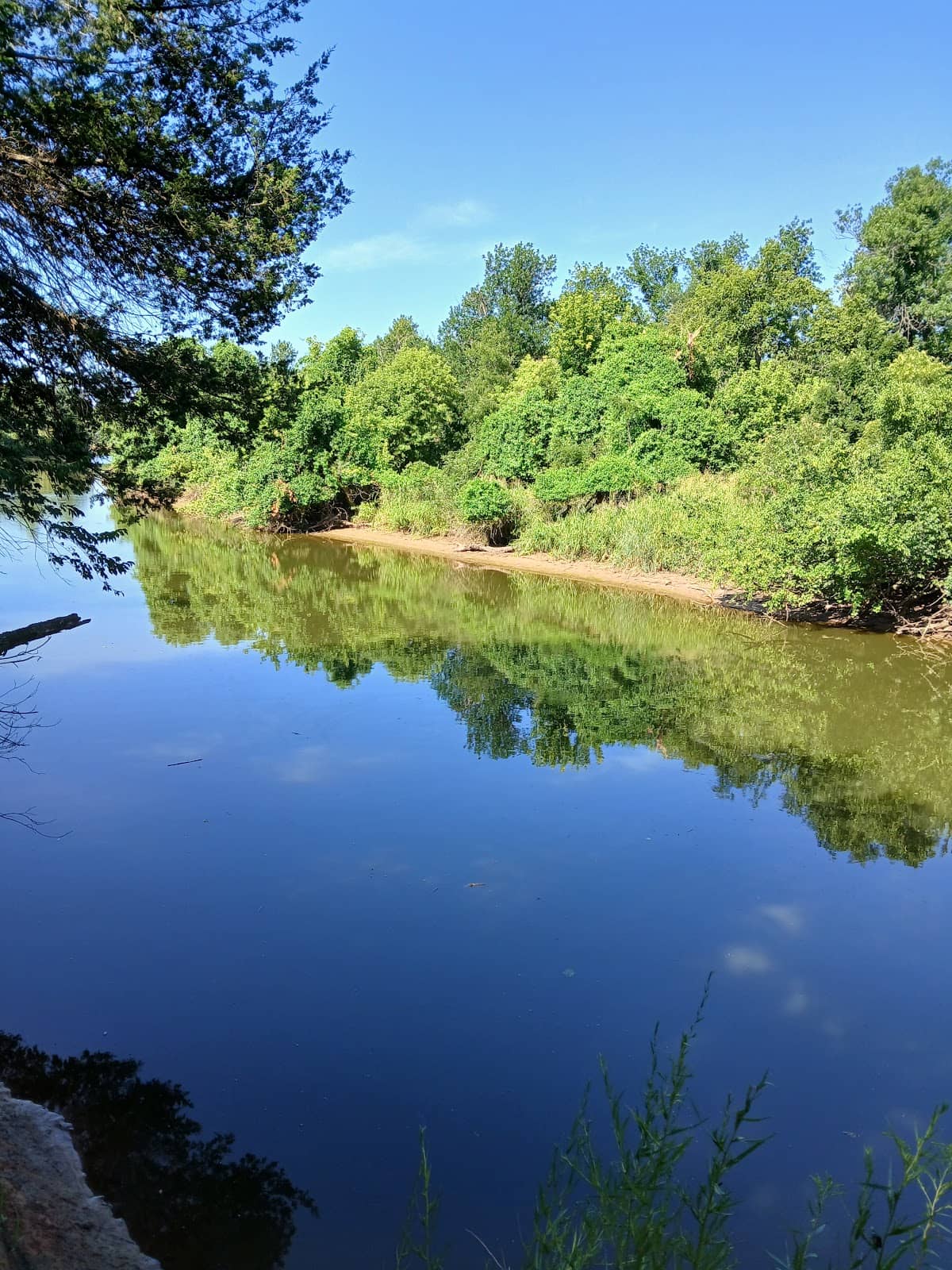 Birdwatching Hotspot