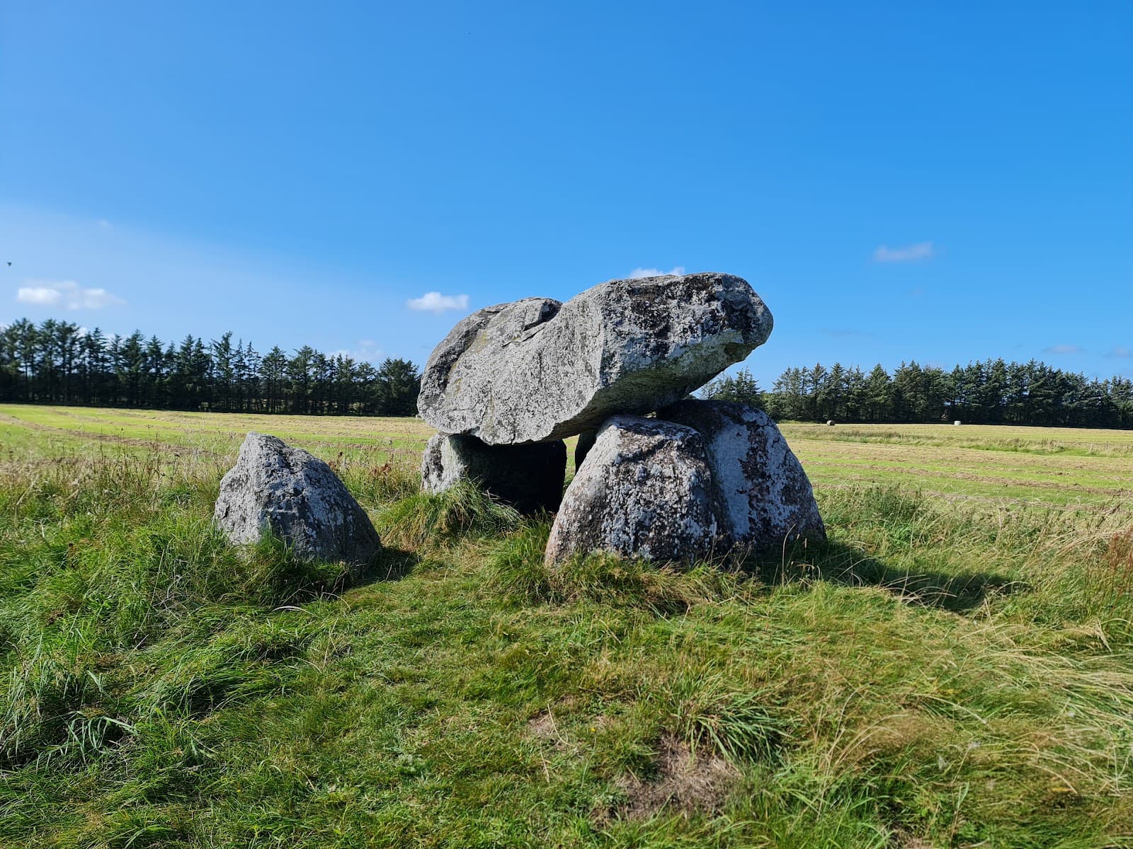 Tornby Dune Plantation - Image 1