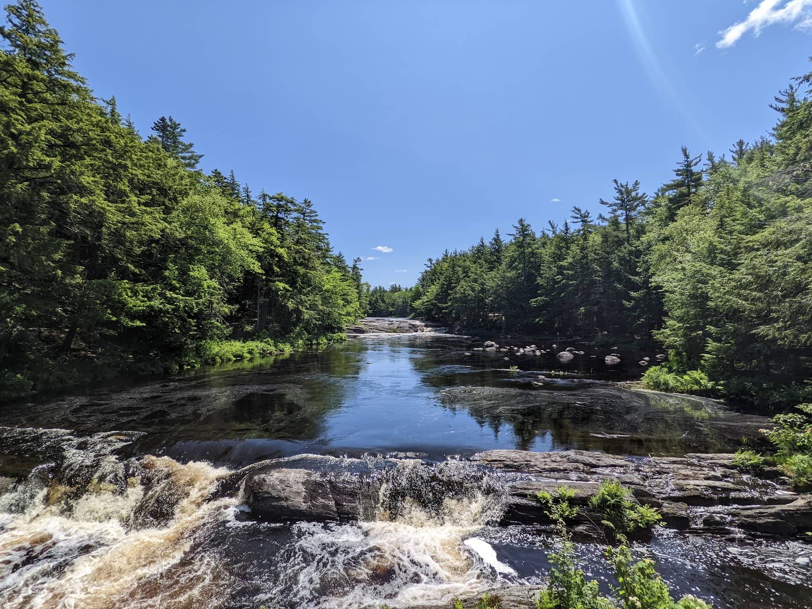 Seaside Beach Grove Trail