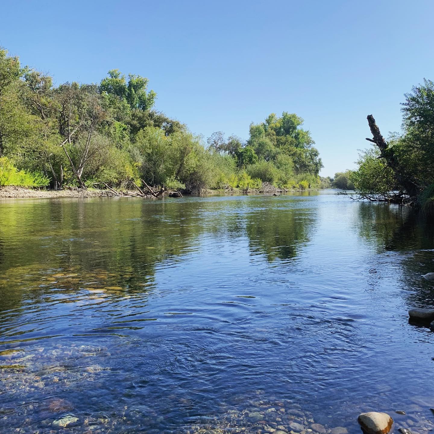 Turlock Lake State Recreation Area - Image 1