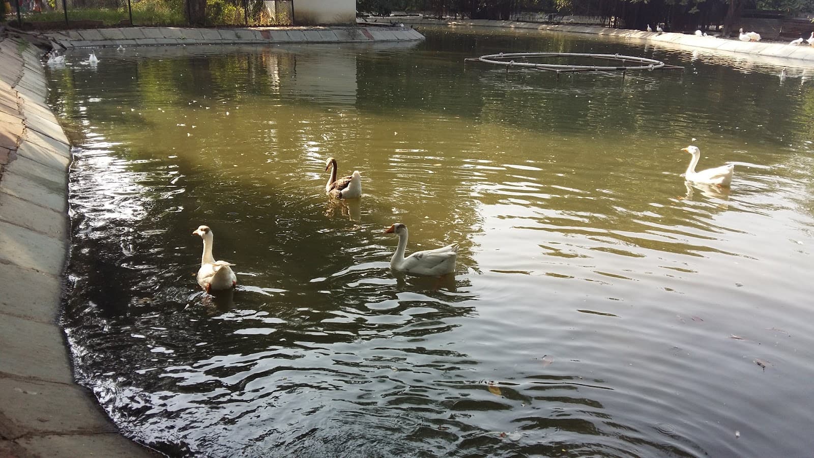 Sarthana Nature Park and Zoo - Image 1